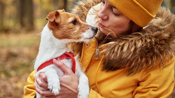 Jak kupić lub adoptować psa? Jak o niego dbać?
